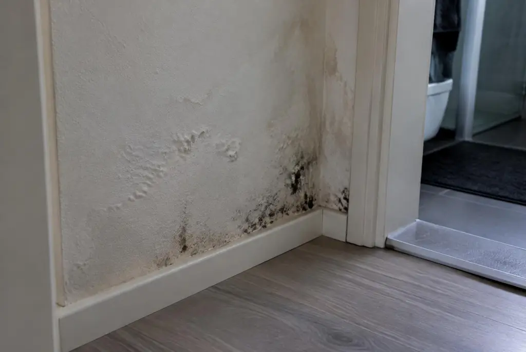 Lekdetectie Sliedrecht – vochtplek met schimmel op een muur